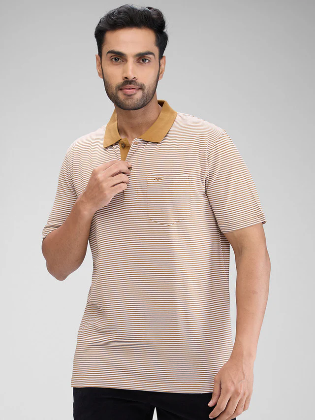 Colorplus Brown Stripe Comfort Fit Cotton T-Shirt