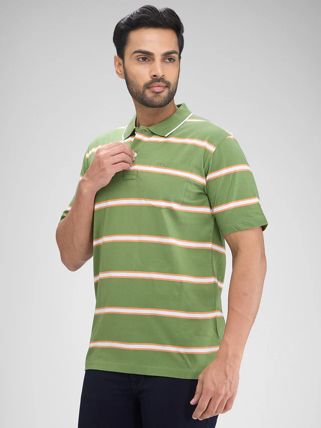 Colorplus Green Stripe Comfort Fit Half Sleeve Cotton T-Shirt - Image 3