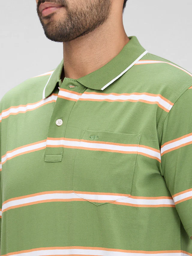 Colorplus Green Stripe Comfort Fit Half Sleeve Cotton T-Shirt - Image 5