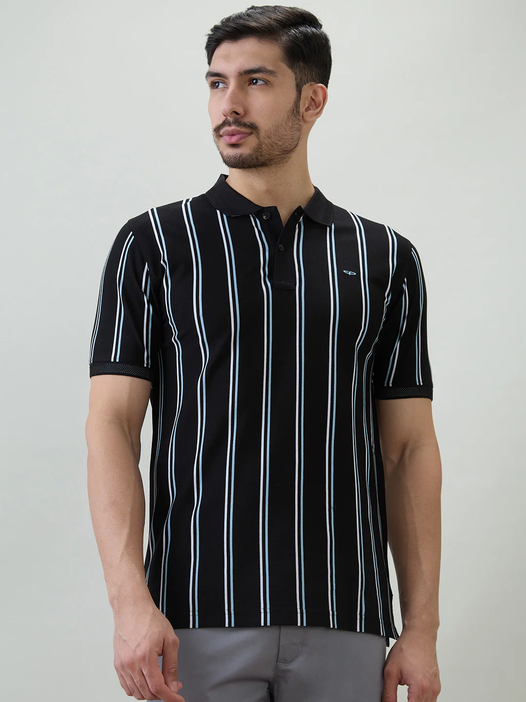 Colorplus Men Black Stripe Regular Fit Cotton T-shirt
