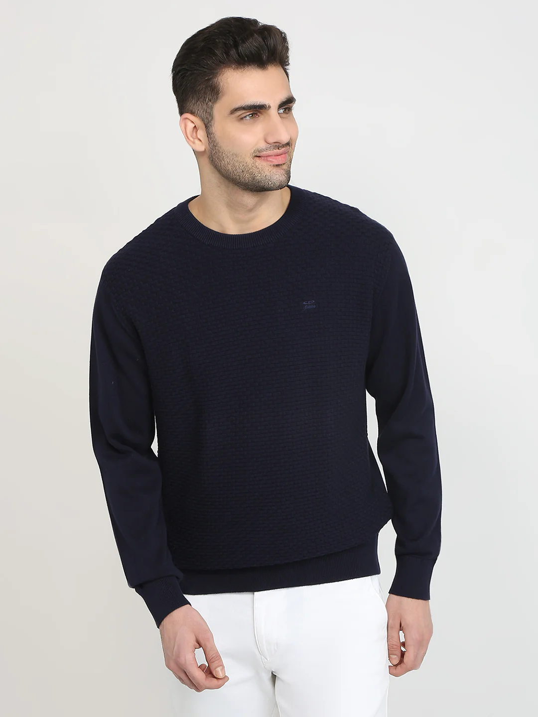 Colorplus Men Blue Jacquard Regular Fit Cotton Full Sleeve Round Neck Collar Sweater
