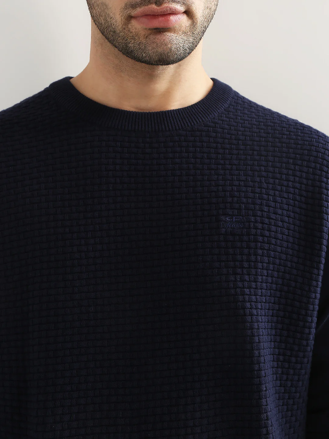 Colorplus Men Blue Jacquard Regular Fit Cotton Full Sleeve Round Neck Collar Sweater - Image 6
