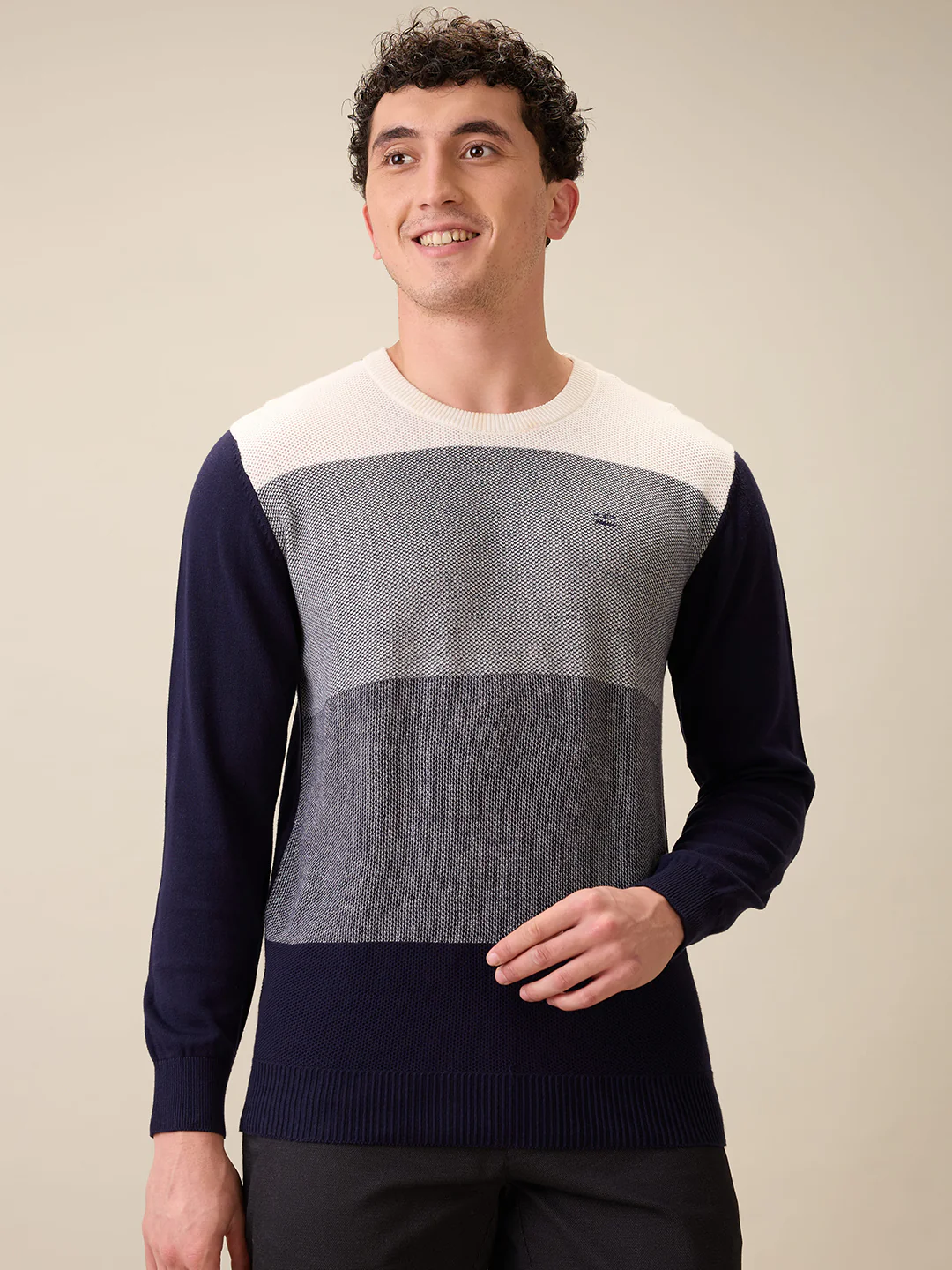 Colorplus Men Blue Jacquard Regular Fit Cotton Full Sleeve Round Neck Collar Sweater