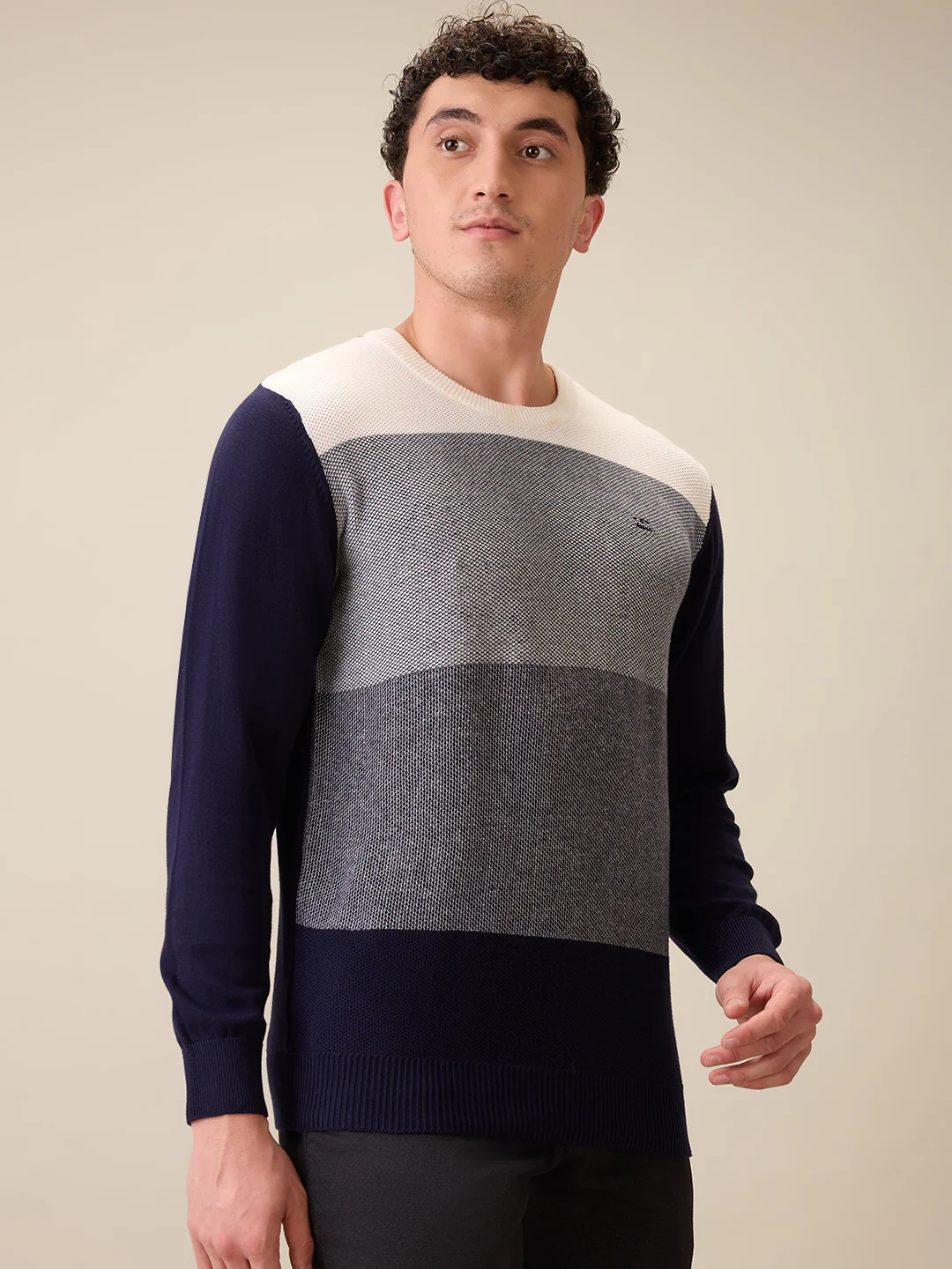 Colorplus Men Blue Jacquard Regular Fit Cotton Full Sleeve Round Neck Collar Sweater - Image 2
