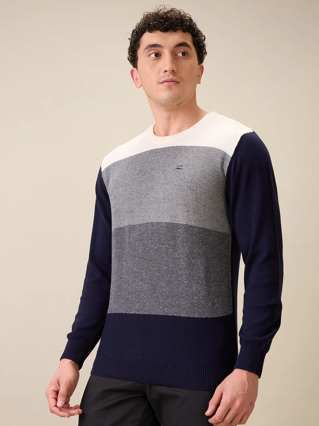 Colorplus Men Blue Jacquard Regular Fit Cotton Full Sleeve Round Neck Collar Sweater - Image 3
