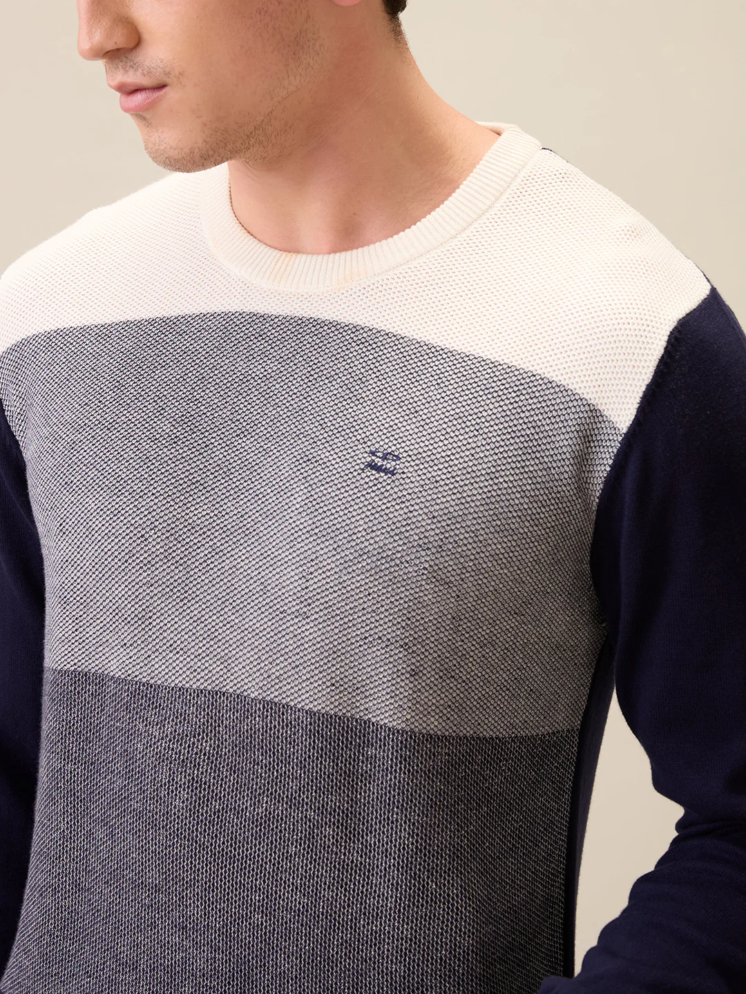 Colorplus Men Blue Jacquard Regular Fit Cotton Full Sleeve Round Neck Collar Sweater - Image 6