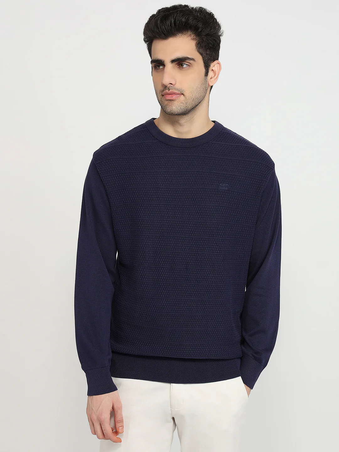 Colorplus Men Blue Jacquard Regular Fit Cotton Sweatshirt