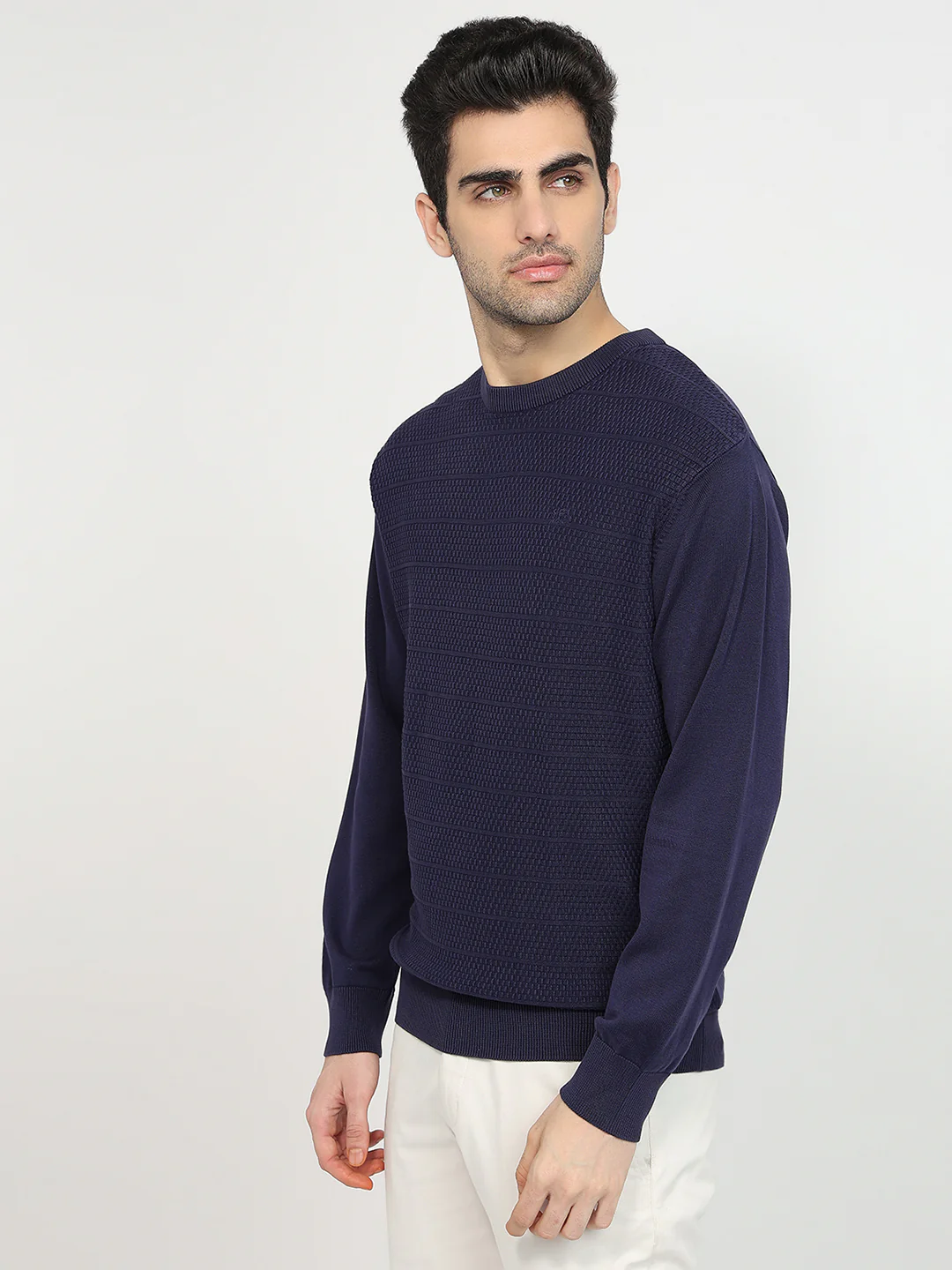 Colorplus Men Blue Jacquard Regular Fit Cotton Sweatshirt - Image 2