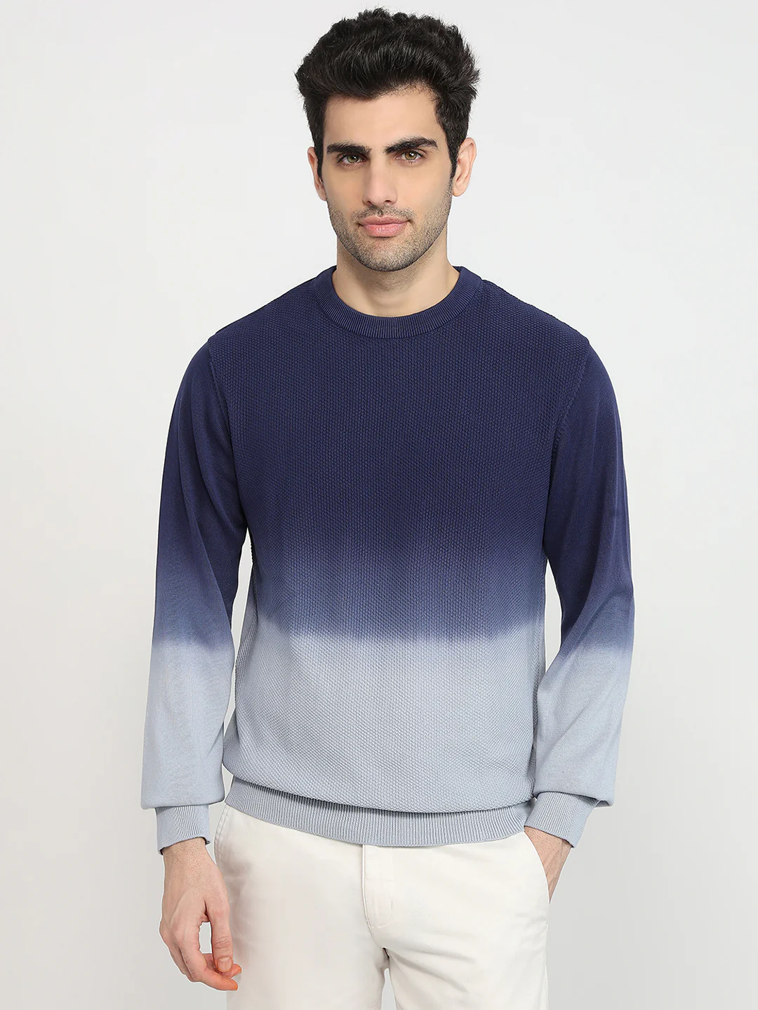 Colorplus Men Blue Jacquard Regular Fit Cotton Sweatshirt