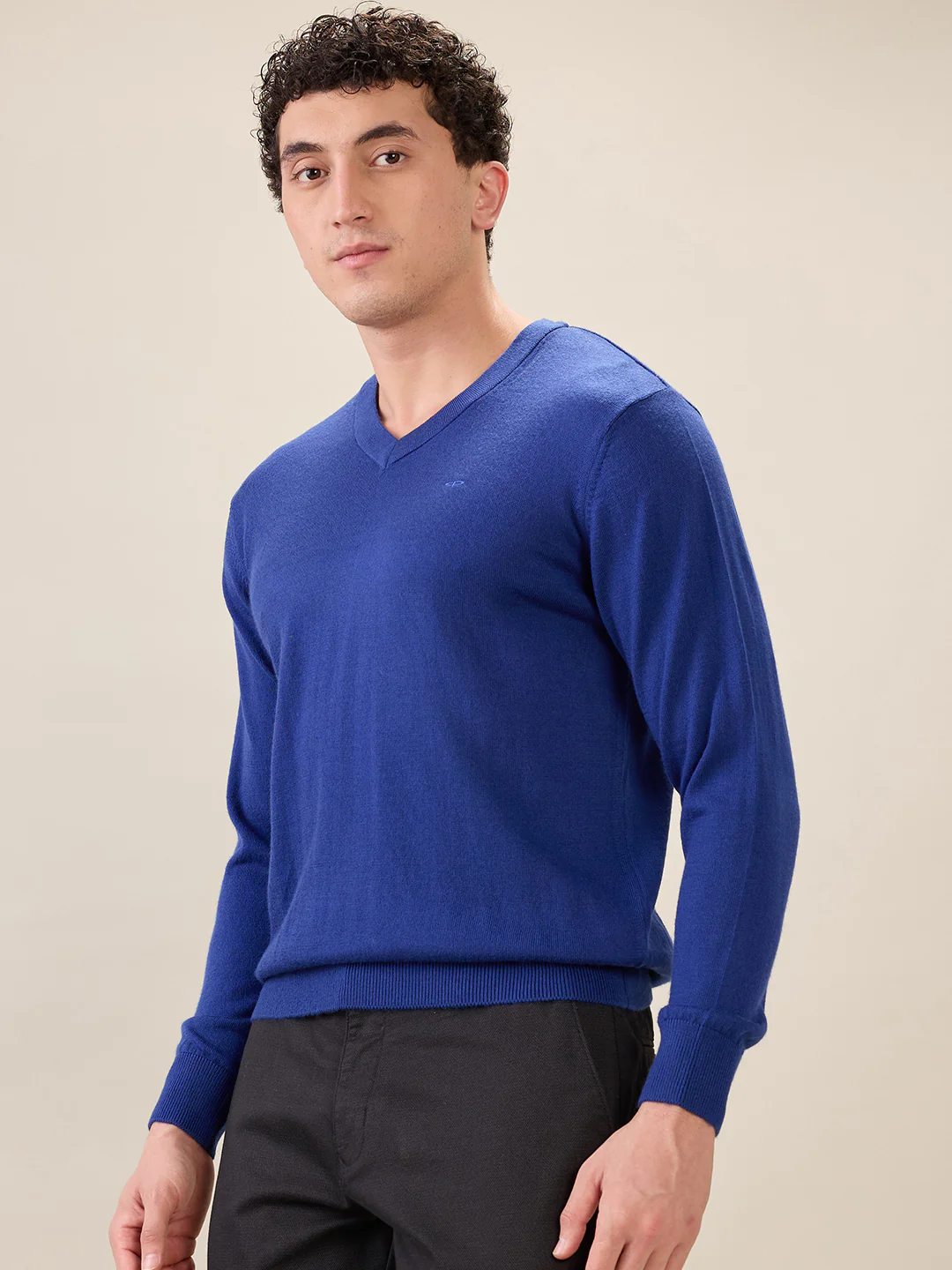 Colorplus Men Blue Solid Regular Fit Wool Blend Sweatshirt - Image 3