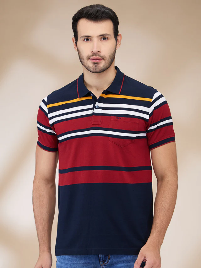Colorplus Men Blue Stripe Regular Fit Cotton T-Shirt