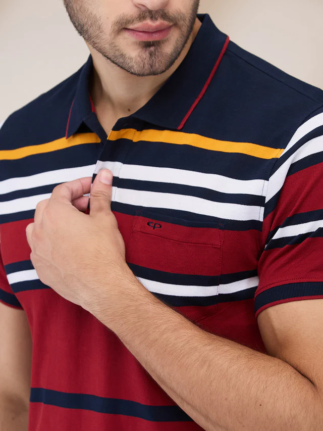 Colorplus Men Blue Stripe Regular Fit Cotton T-Shirt - Image 5