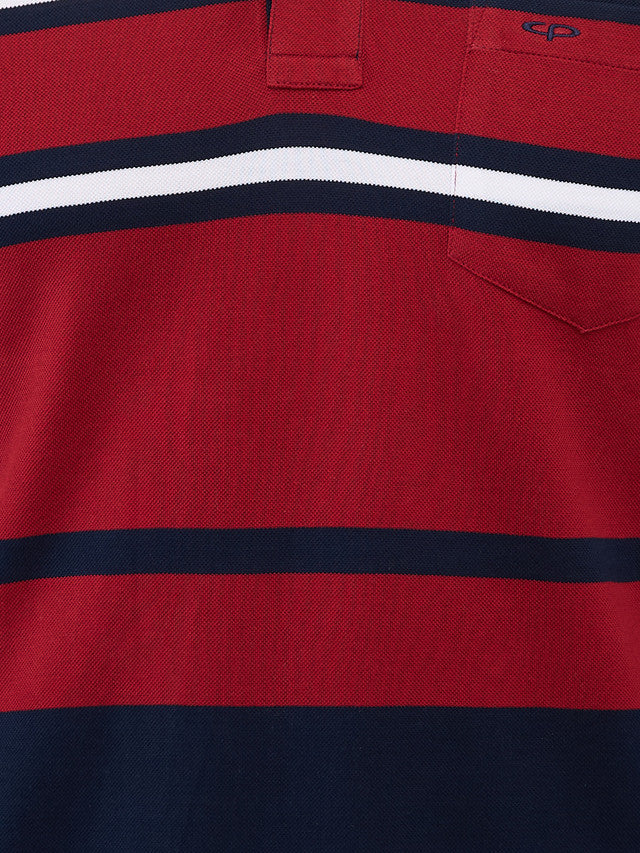 Colorplus Men Blue Stripe Regular Fit Cotton T-Shirt - Image 6