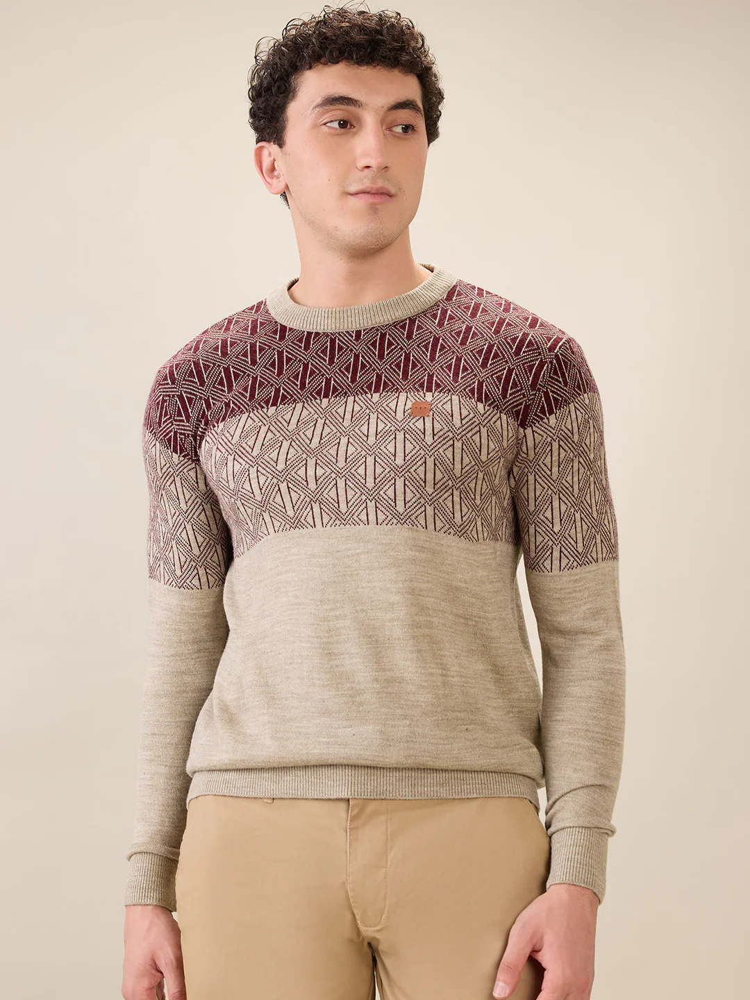 Colorplus Men Brown Jacquard Regular Fit Acrylic Sweatshirt