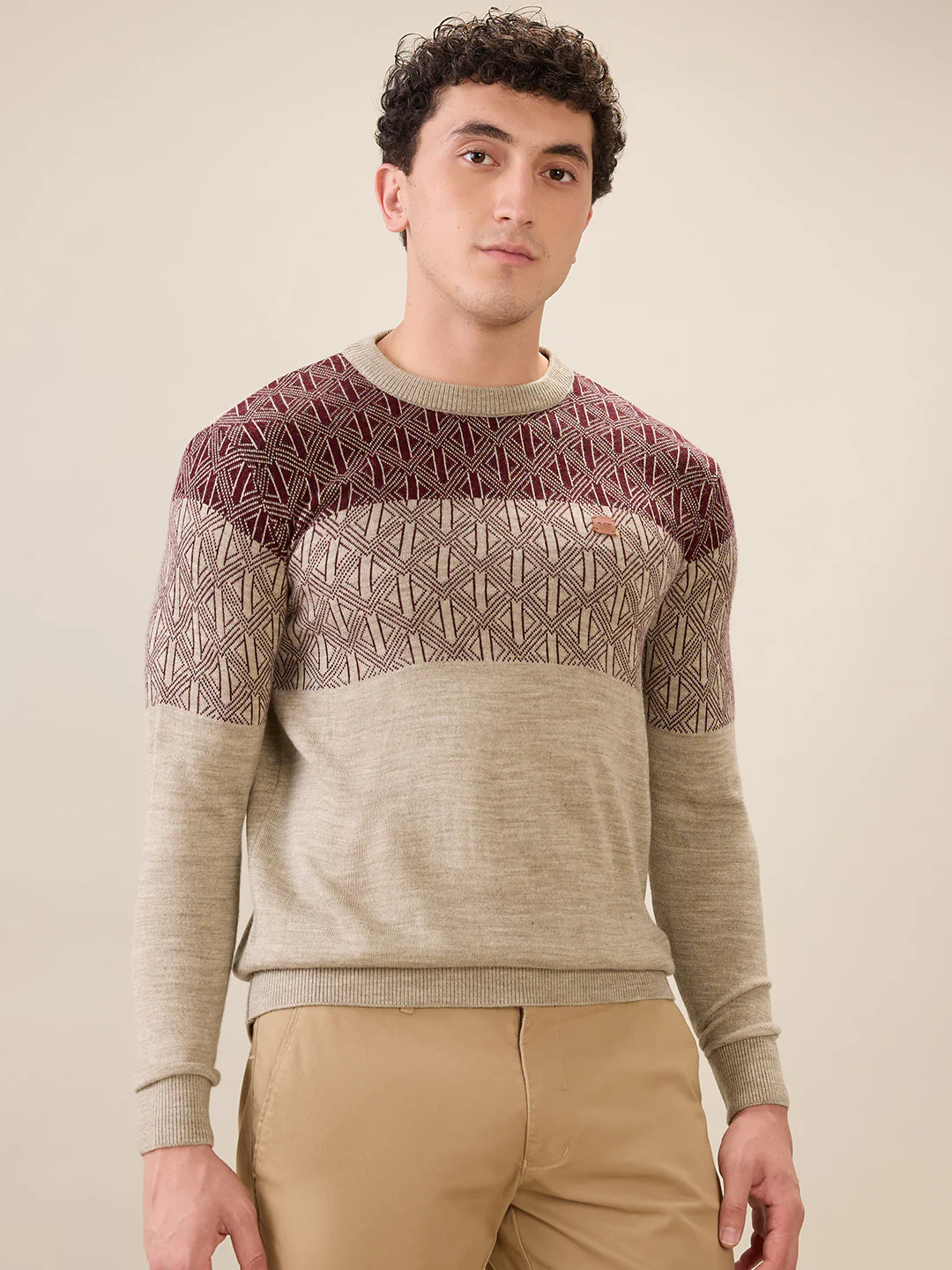 Colorplus Men Brown Jacquard Regular Fit Acrylic Sweatshirt - Image 2