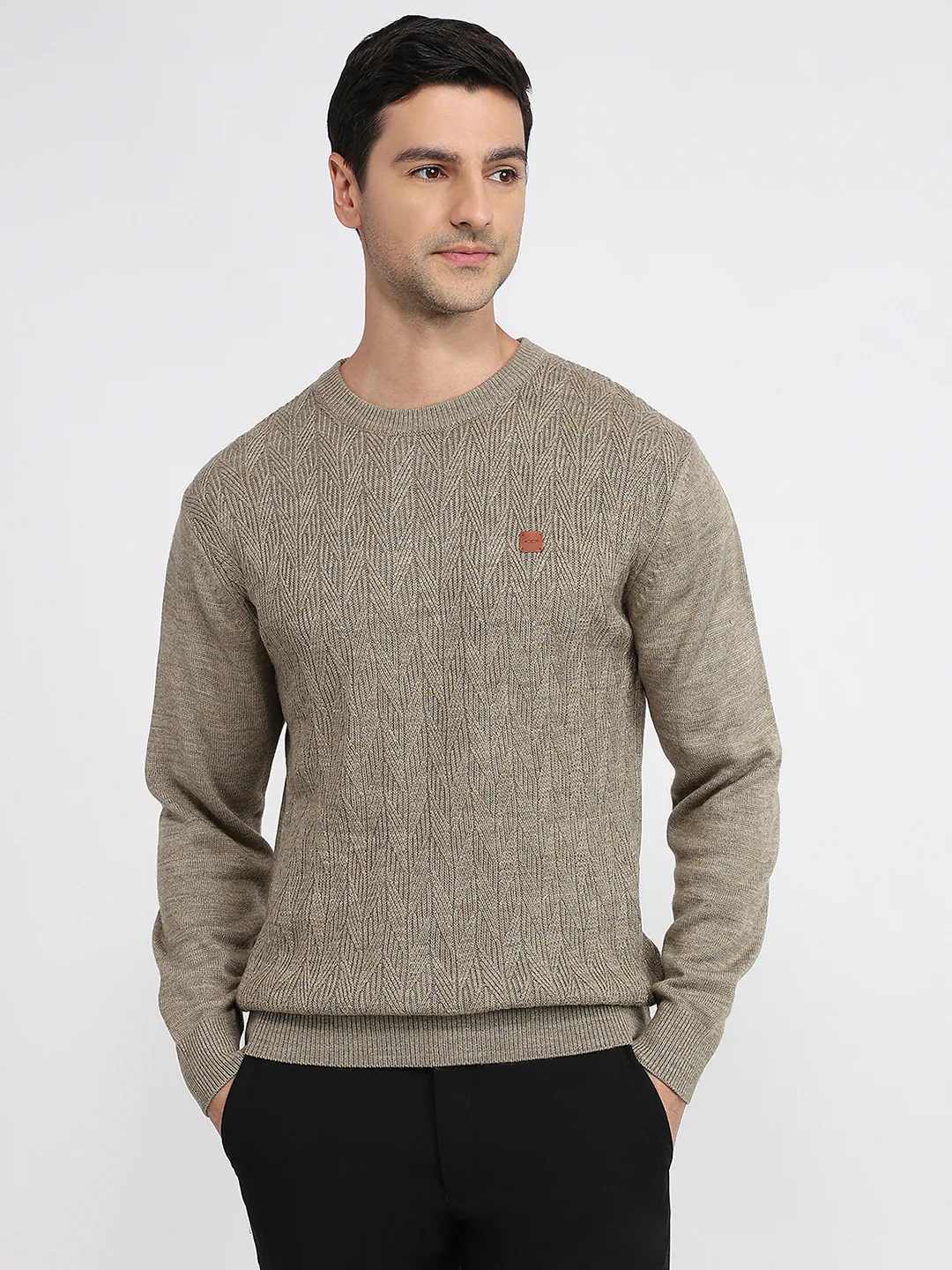 Colorplus Men Brown Jacquard Regular Fit Acrylic Sweatshirt