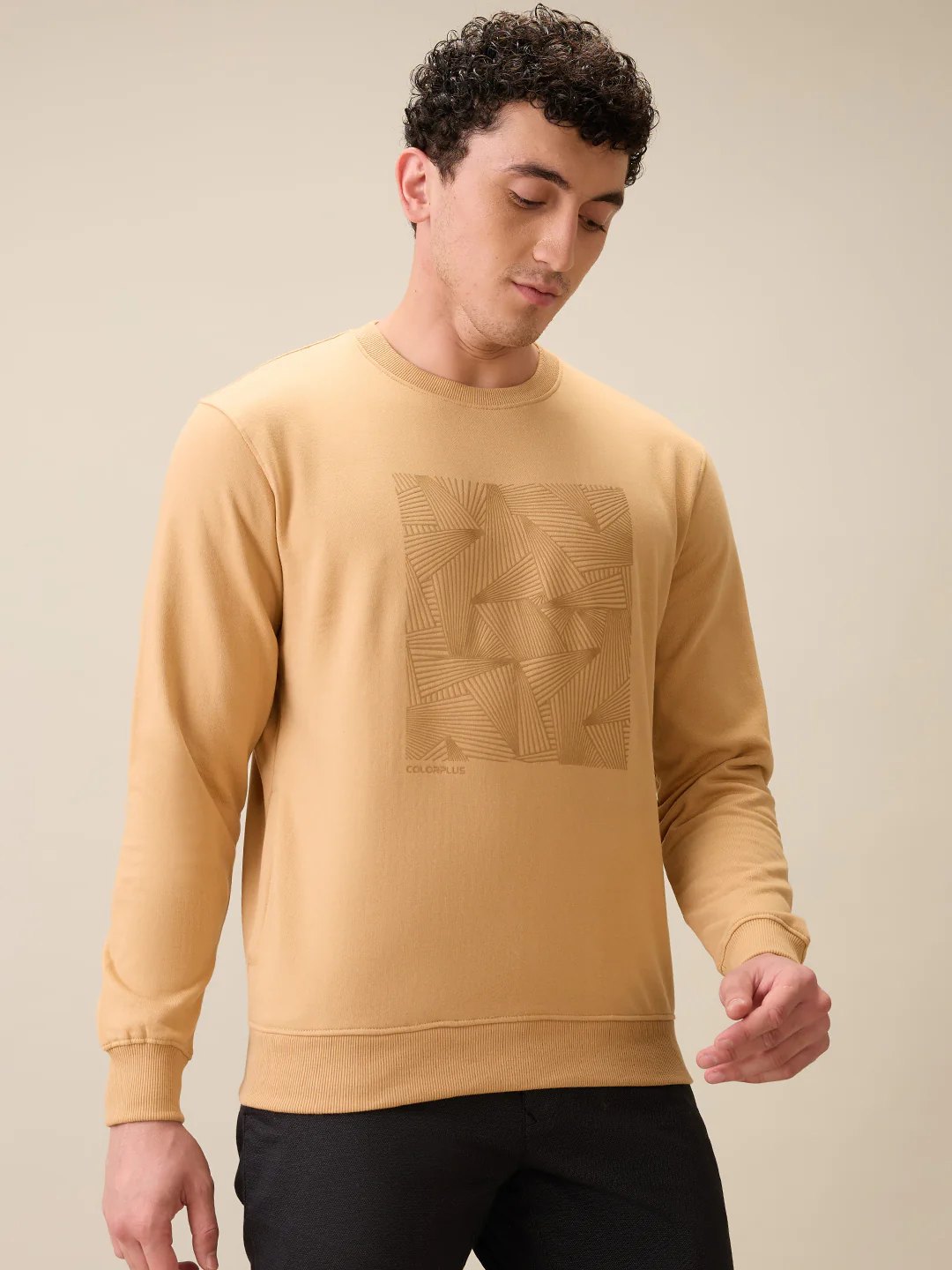 Colorplus Men Brown Printed Regular Fit Cotton Blend Full Sleeve Sweatshirt - Image 2