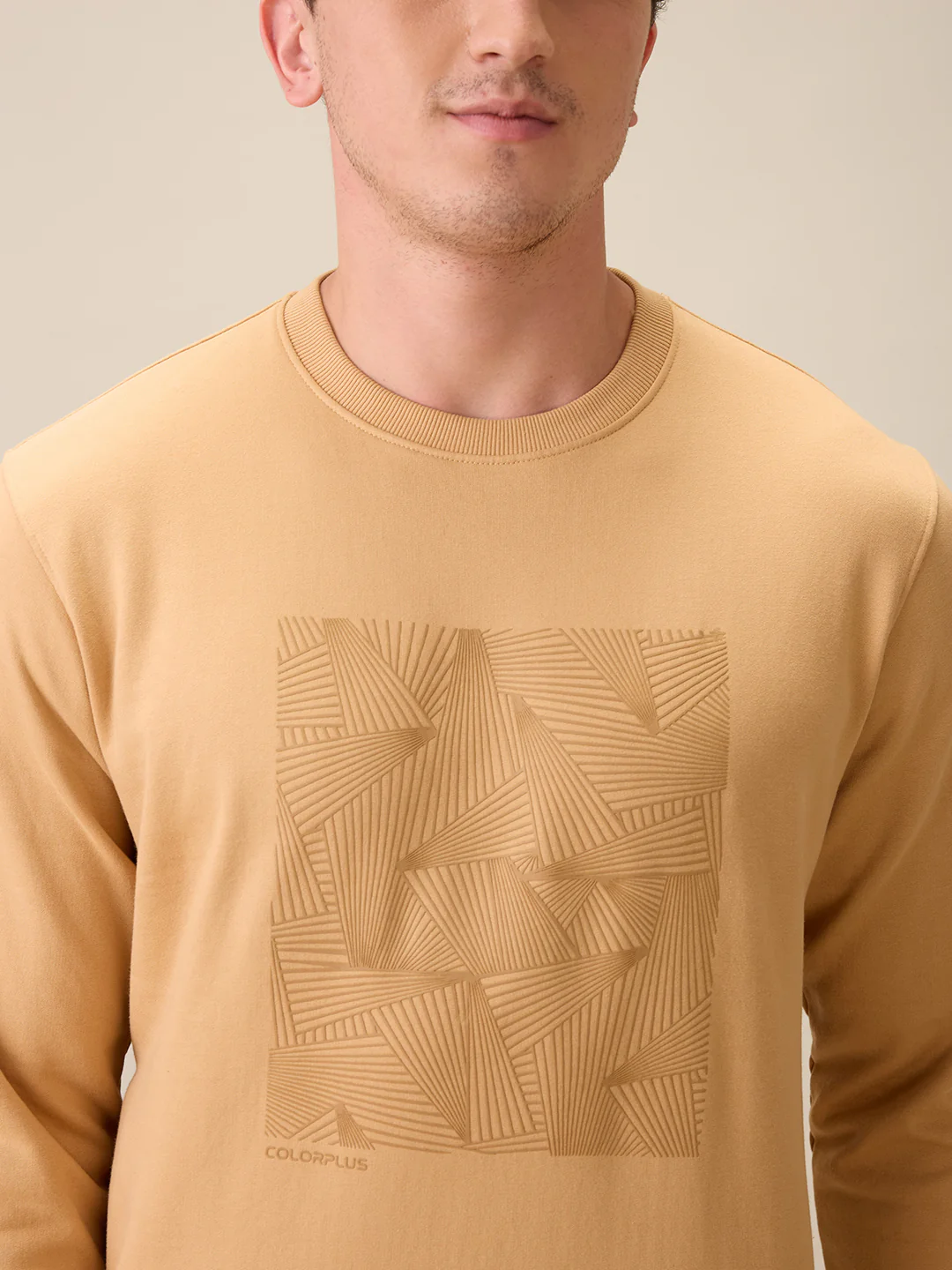 Colorplus Men Brown Printed Regular Fit Cotton Blend Full Sleeve Sweatshirt - Image 6