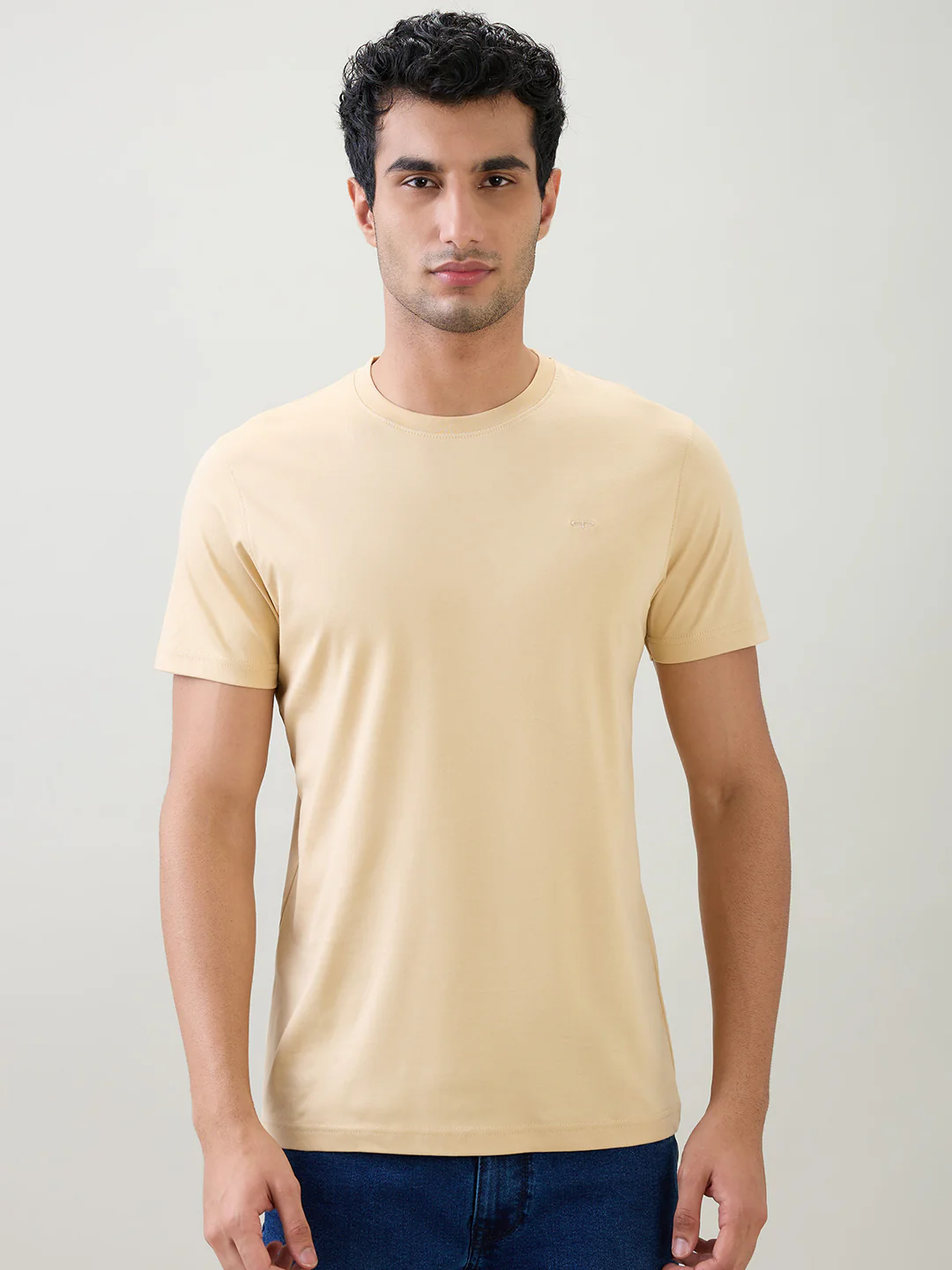 Colorplus Men Brown Solid Regular Fit Cotton Half Sleeve T-Shirt