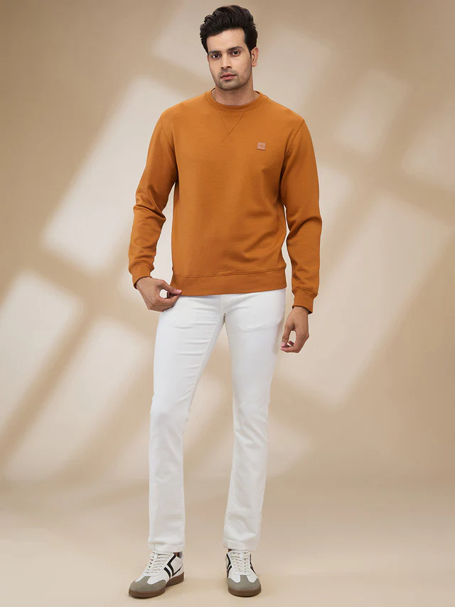 Colorplus Men Brown Solid Regular Fit Polyester Blend Sweatshirt - Image 2