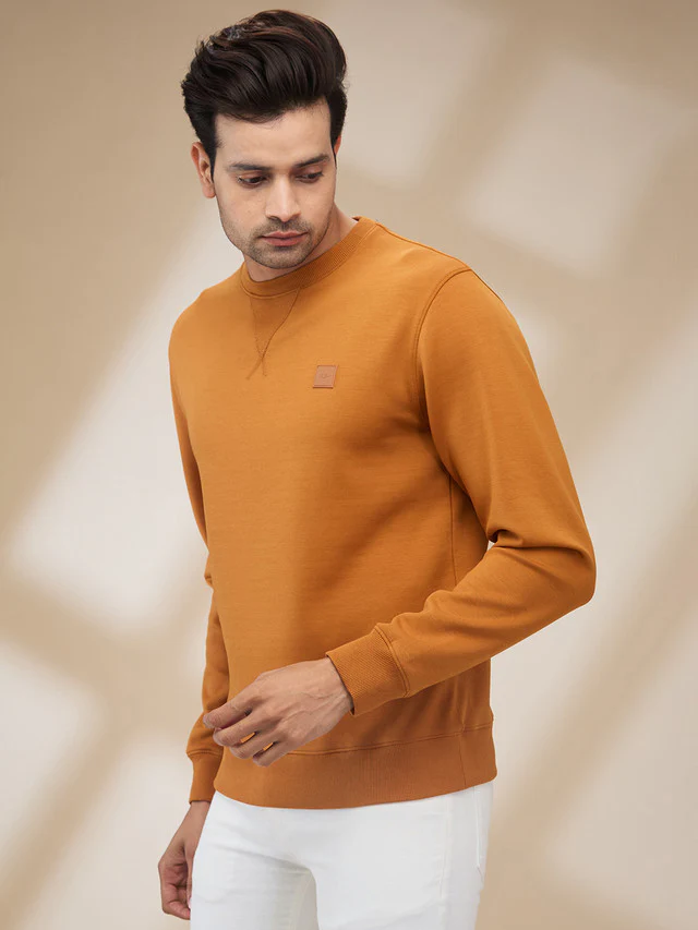 Colorplus Men Brown Solid Regular Fit Polyester Blend Sweatshirt - Image 3
