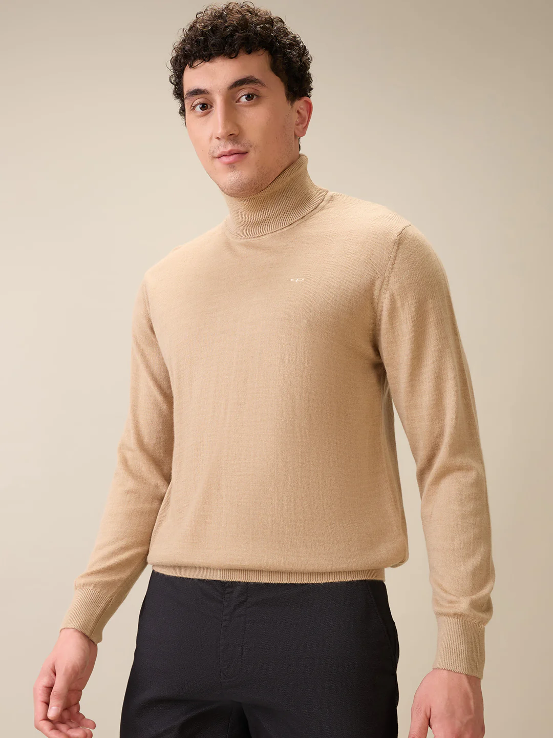 Colorplus Men Brown Solid Regular Fit Wool Blend Full Sleeve V Neck Collar Sweater - Image 3
