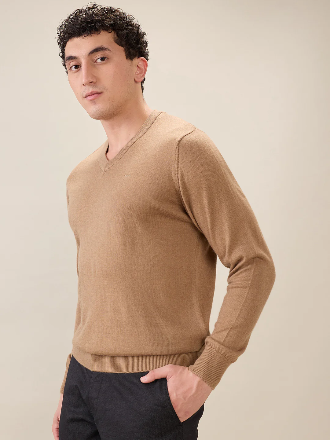 Colorplus Men Brown Solid Regular Fit Wool Blend Sweatshirt - Image 3