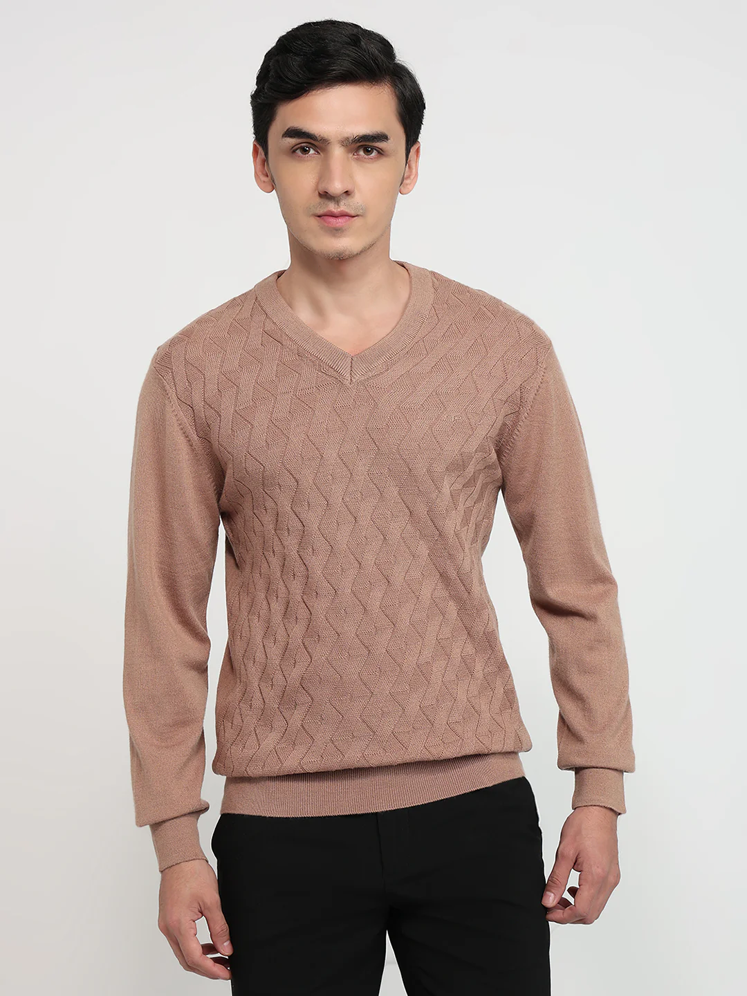 Colorplus Men Brown Solid Regular Fit Wool Blend Sweatshirt
