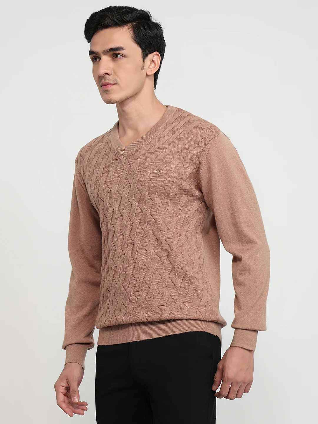 Colorplus Men Brown Solid Regular Fit Wool Blend Sweatshirt - Image 2