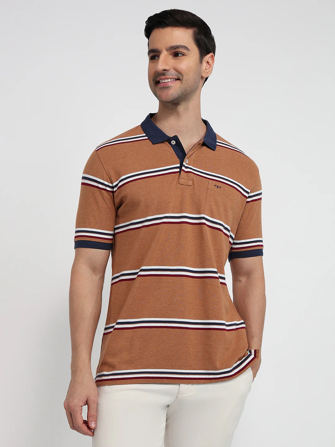 Colorplus Men Brown Stripe Regular Fit Cotton T-shirt