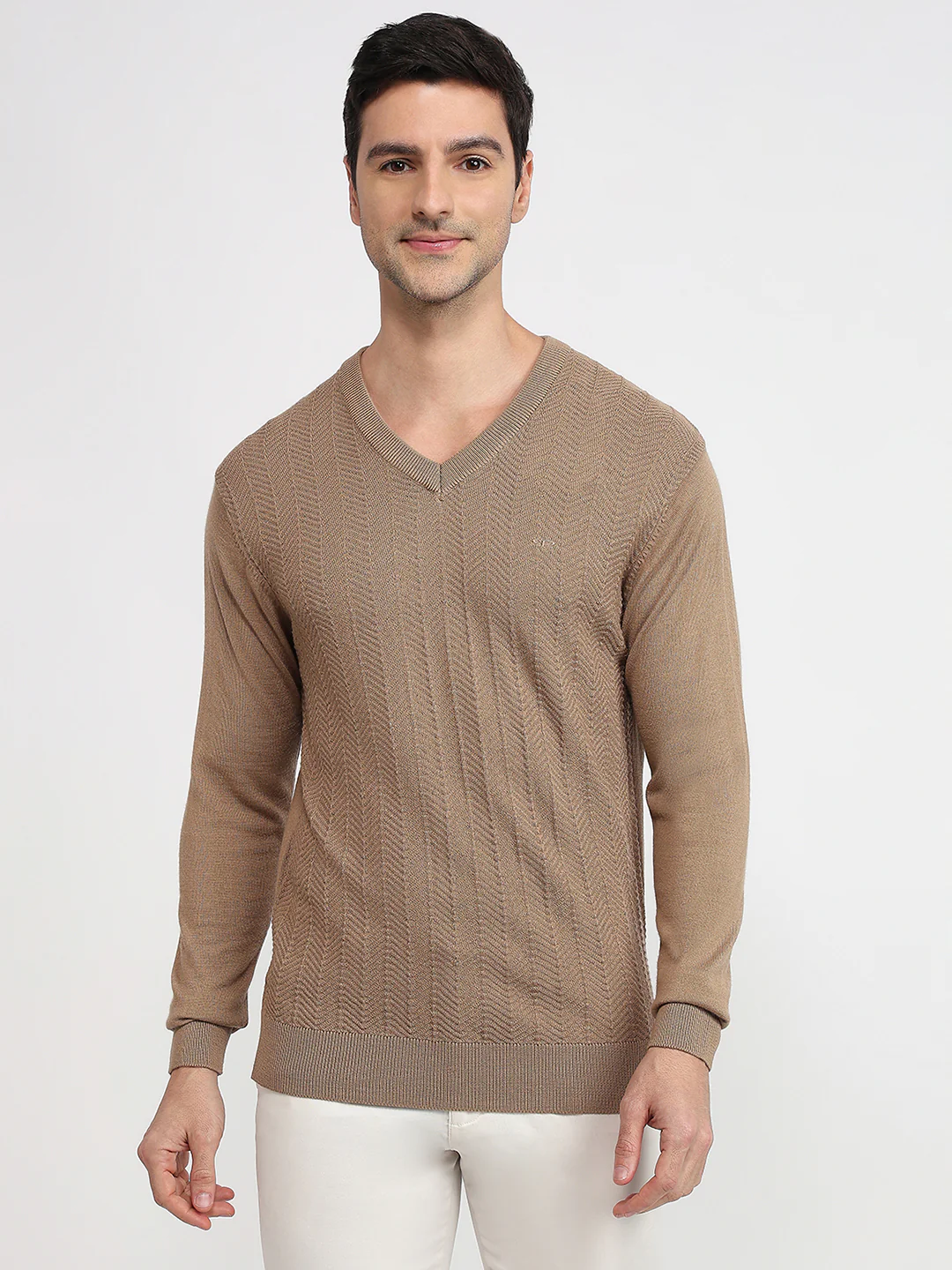 Colorplus Men Brown Structure Regular Fit Acrylic Blend Sweatshirt