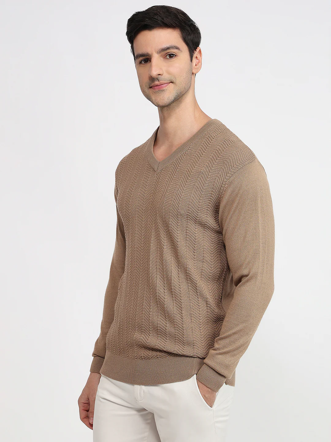 Colorplus Men Brown Structure Regular Fit Acrylic Blend Sweatshirt - Image 2