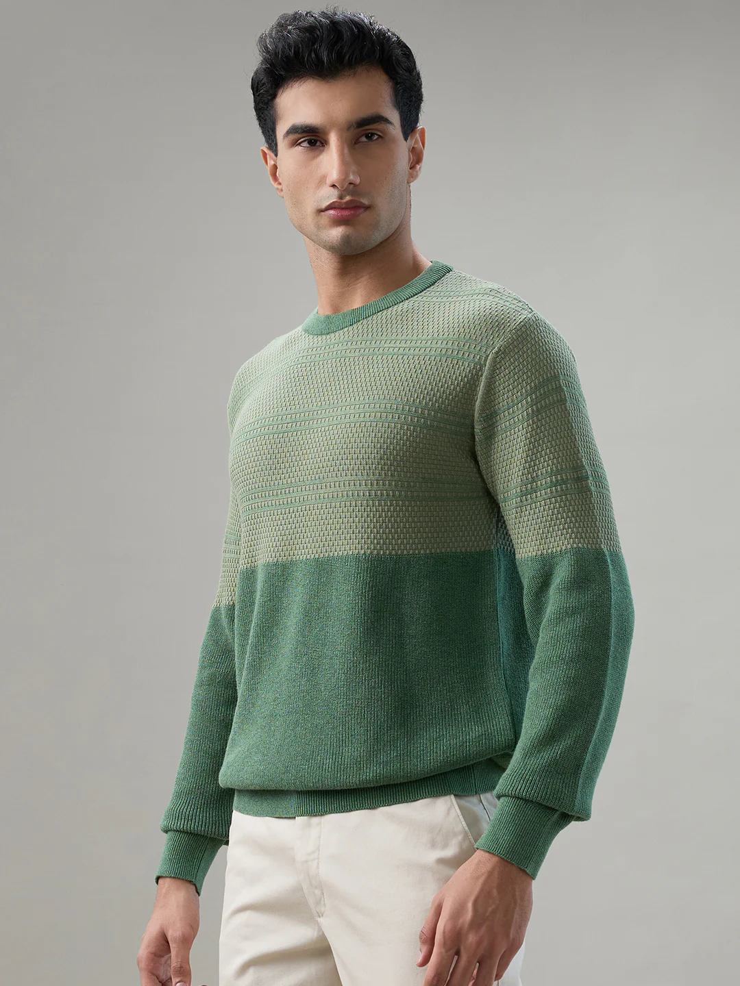 Colorplus Men Green Jacquard Regular Fit Cotton Sweatshirt - Image 3