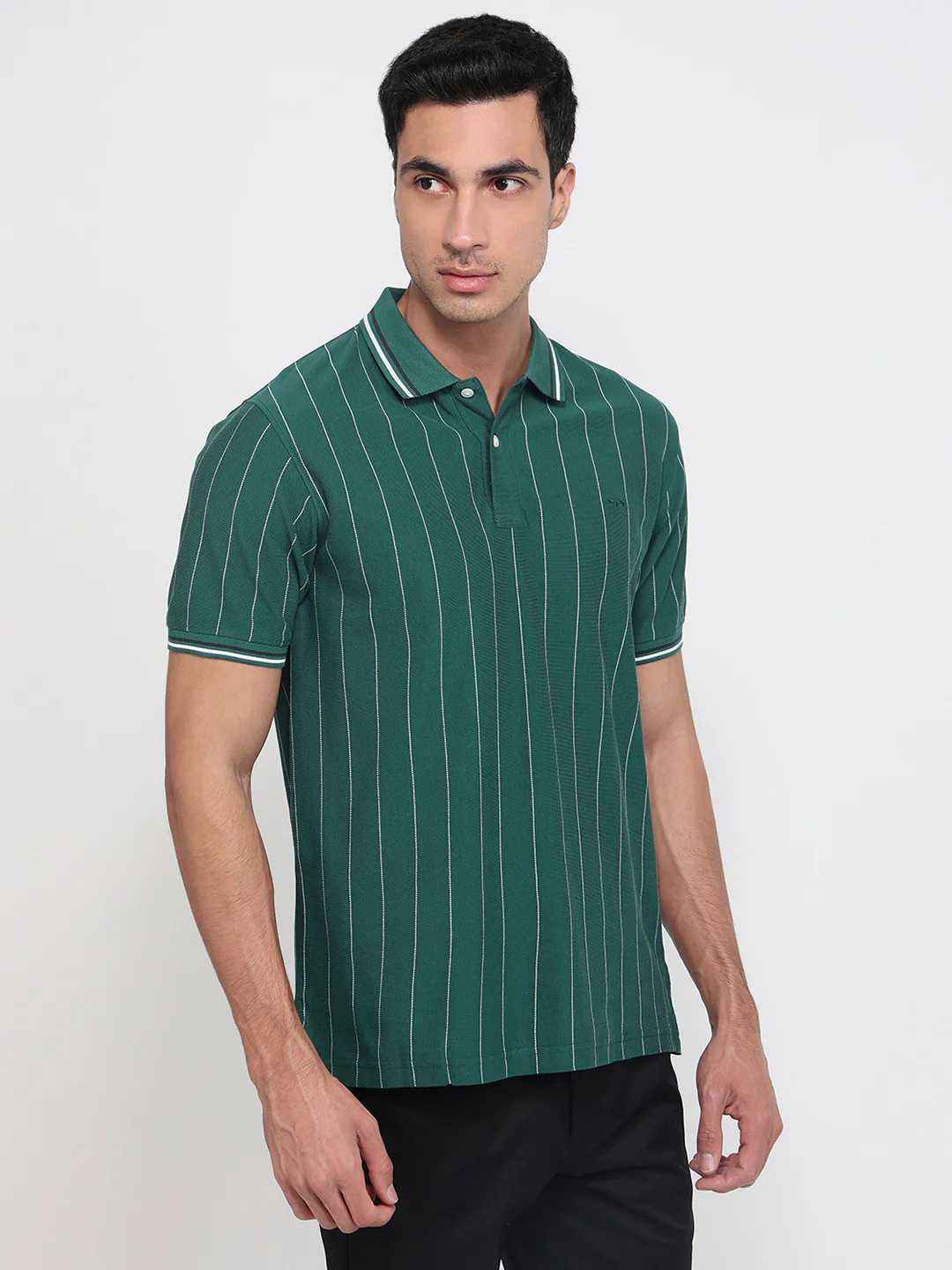Colorplus Men Green Regular Fit Stripe Polo Neck Collar T-Shirt - Image 3