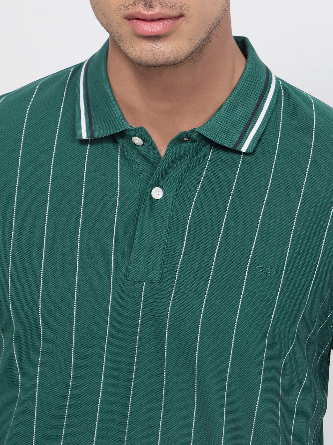 Colorplus Men Green Regular Fit Stripe Polo Neck Collar T-Shirt - Image 6