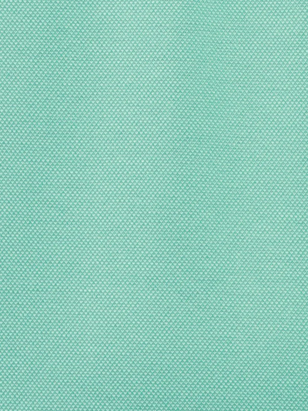 Colorplus Men Green Classic Fit Solid Polo Neck Collar T-Shirt - Image 8