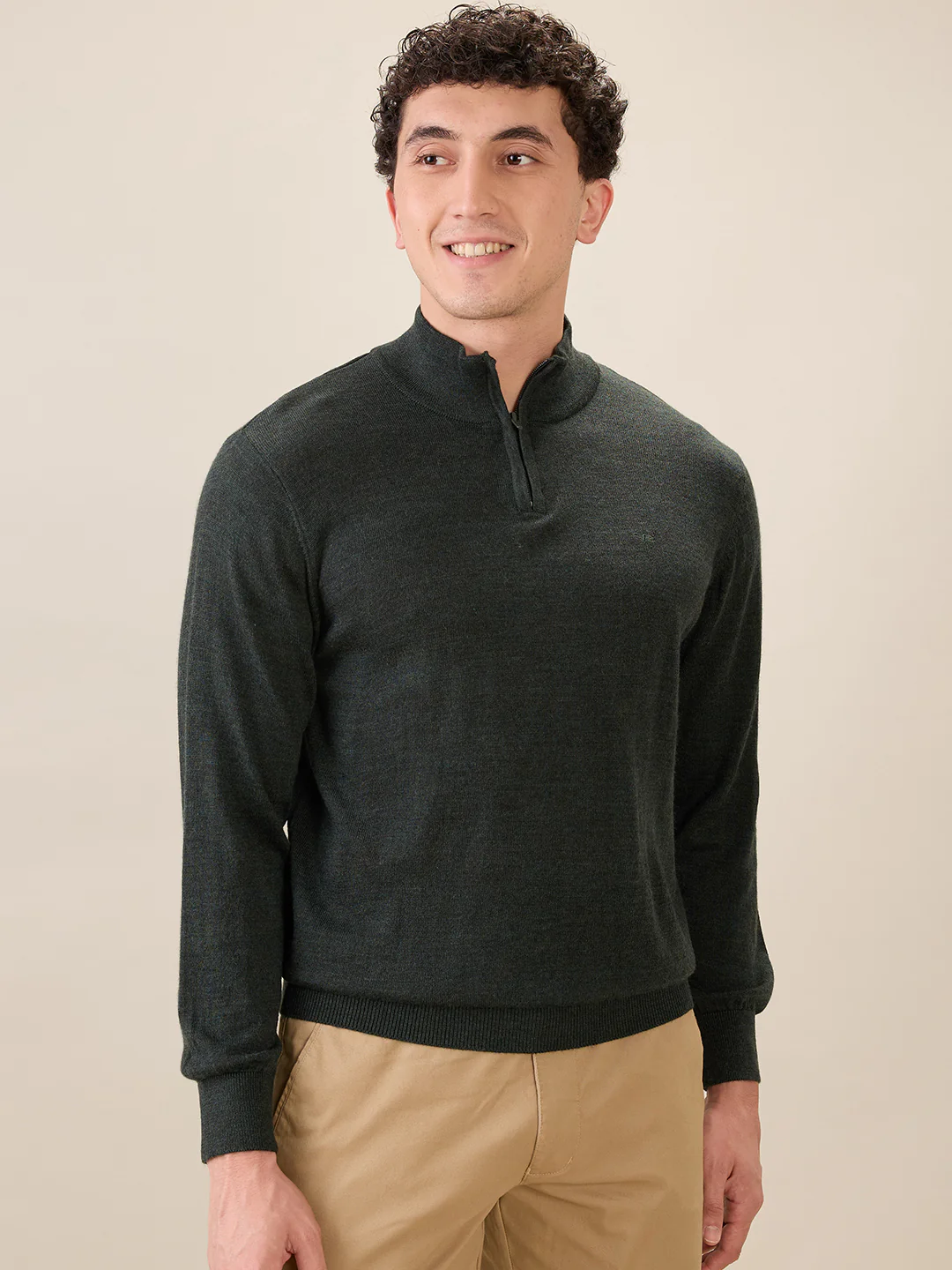 Colorplus Men Green Solid Regular Fit Wool Blend Sweatshirt