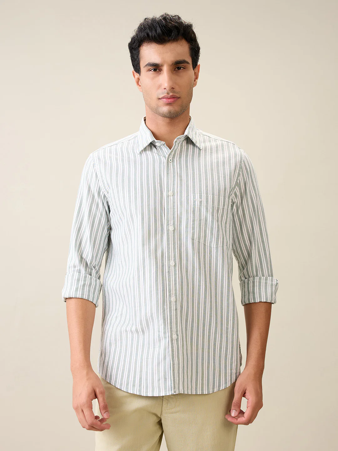 Colorplus Men Green Stripe Regular Fit Cotton Shirt