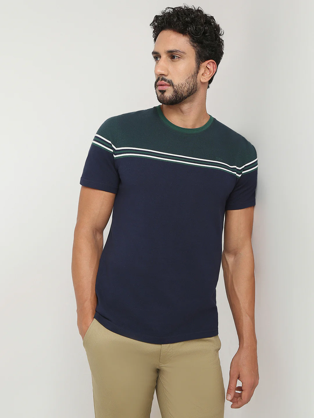 ColorPlus Men Green Stripe Regular Fit Cotton T-Shirt