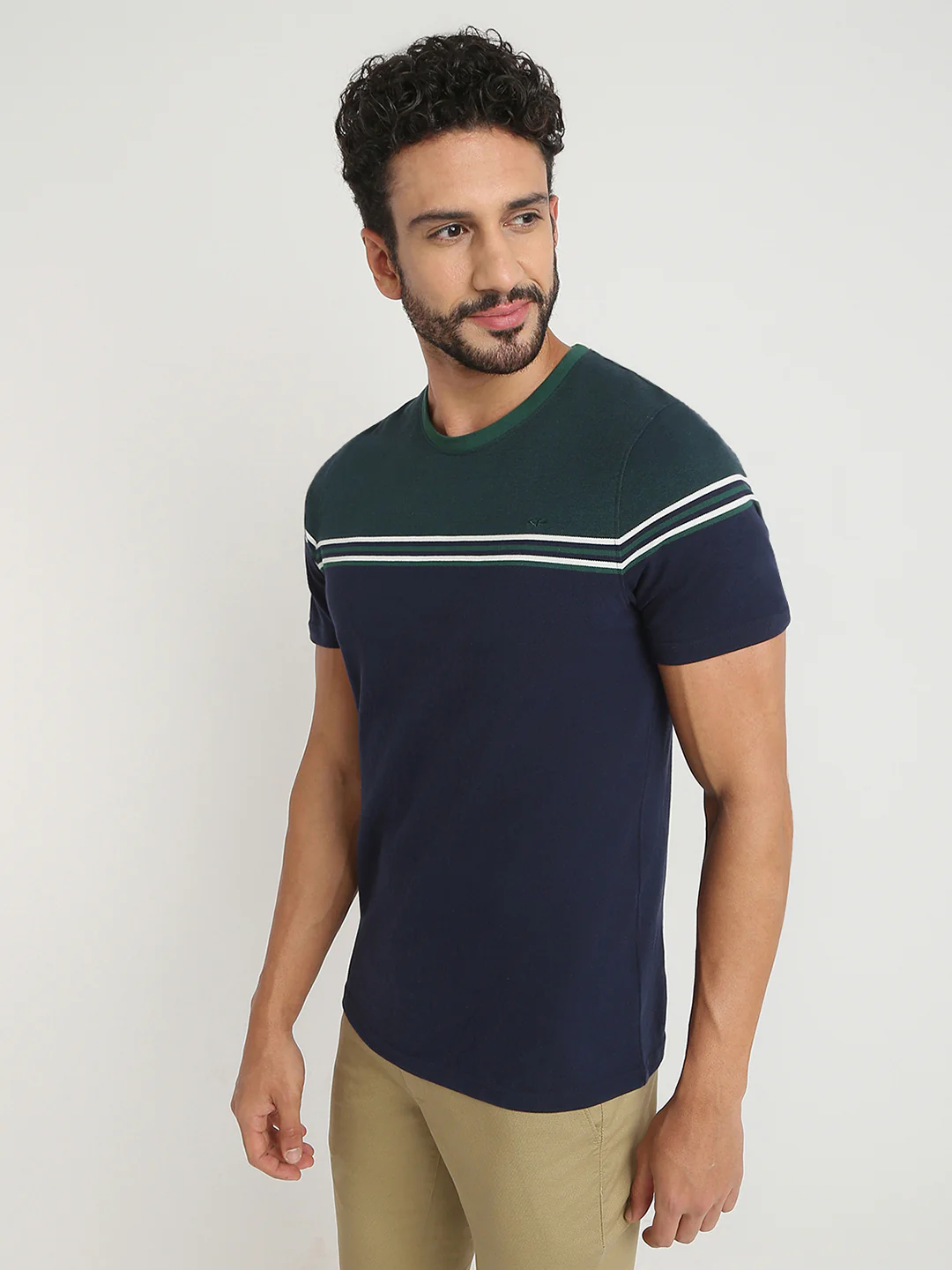 ColorPlus Men Green Stripe Regular Fit Cotton T-Shirt - Image 3