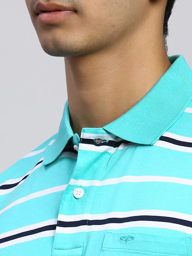 Colorplus Men Green Striped Classic Fit Half Sleeve Polo Neck T-Shirt - Image 6