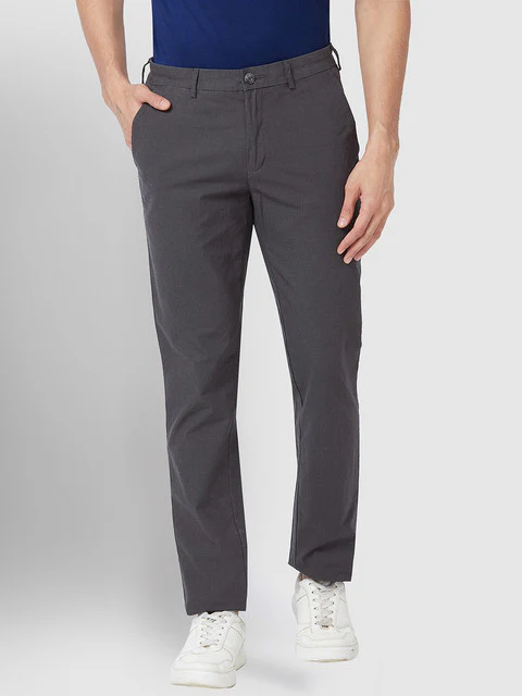 ColorPlus Men Grey Contemporary Fit Checks Trouser