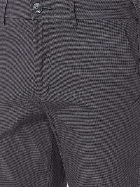 ColorPlus Men Grey Contemporary Fit Checks Trouser - Image 6