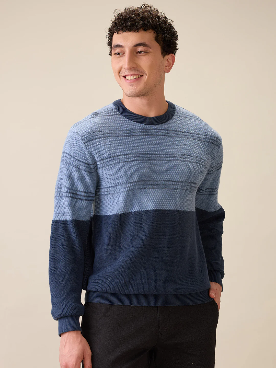 Colorplus Men Grey Jacquard Regular Fit Cotton Full Sleeve Round Neck Collar Sweater