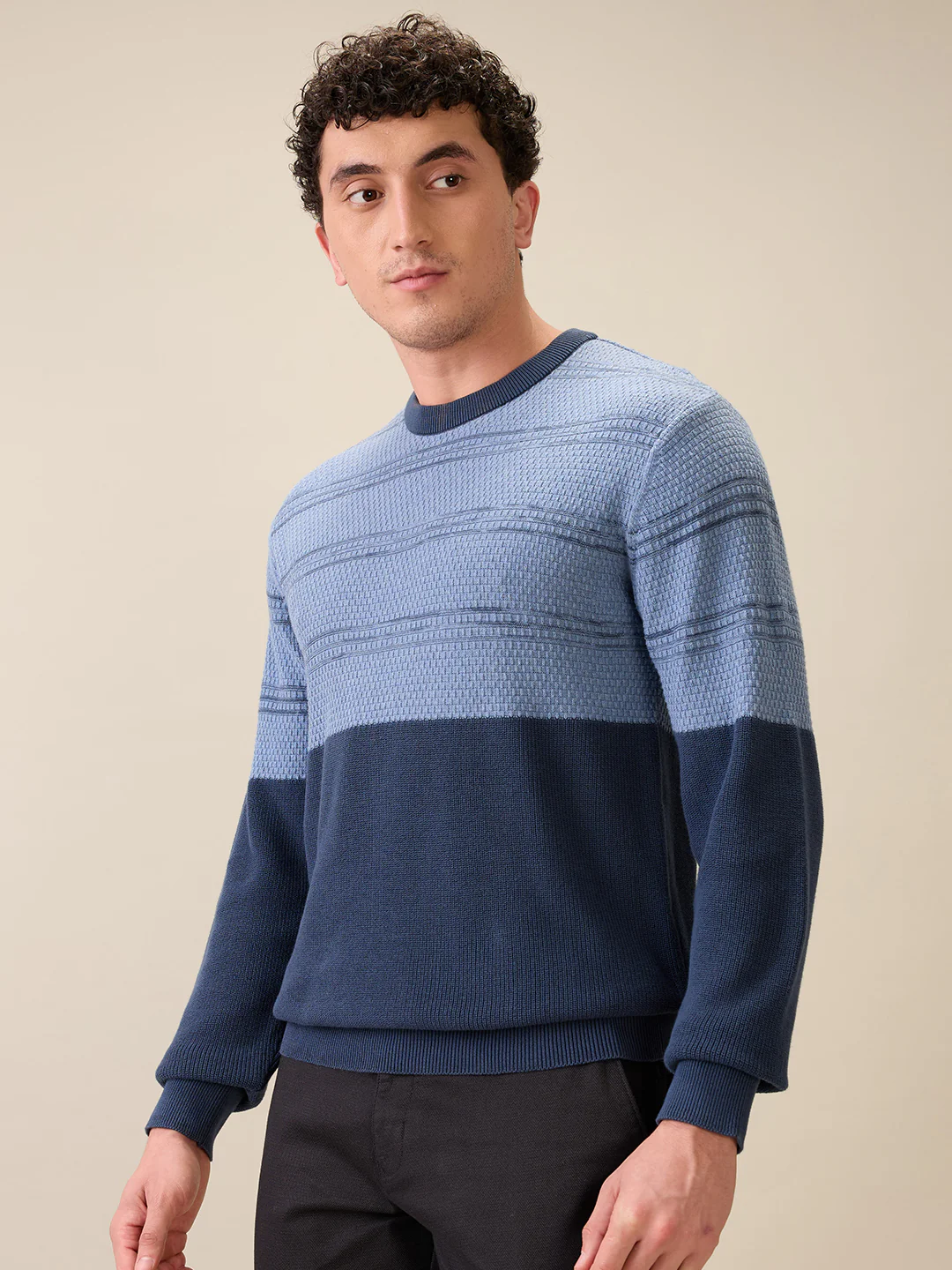 Colorplus Men Grey Jacquard Regular Fit Cotton Full Sleeve Round Neck Collar Sweater - Image 3