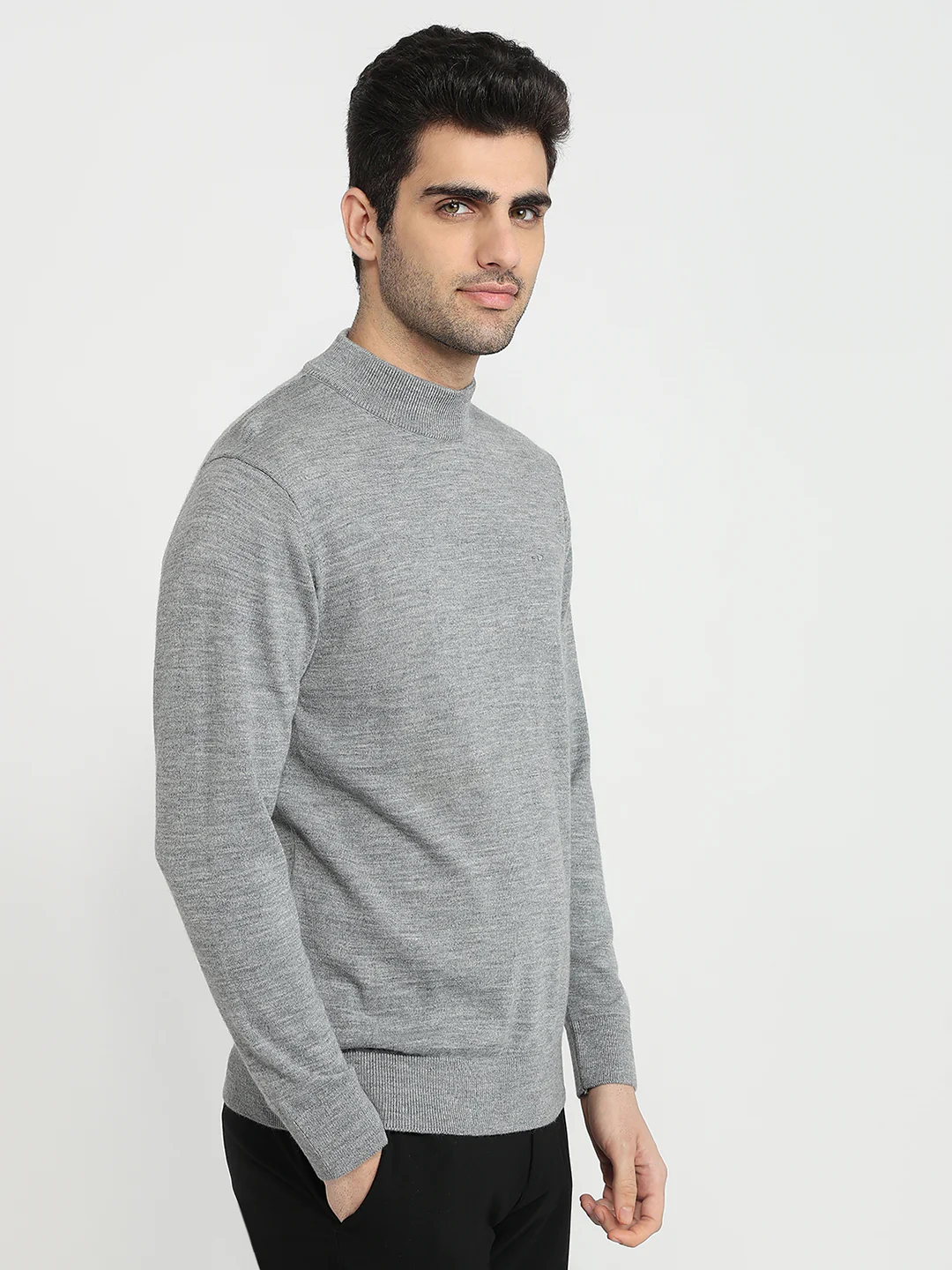 Colorplus Men Grey Plain Regular Fit Marino Blend Sweatshirt - Image 3