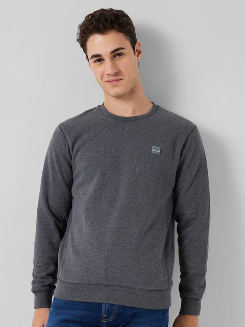 Colorplus Men Grey Solid Regular Fit Cotton Blend Sweatshirt