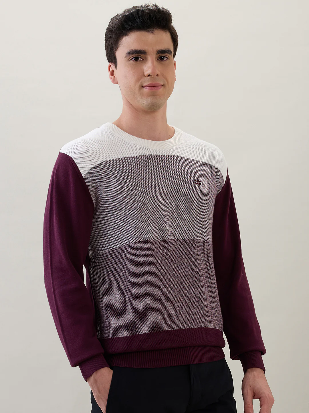 Colorplus Men Maroon Jacquard Regular Fit Cotton Sweatshirt - Image 2