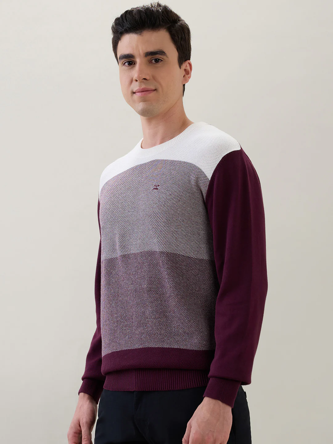 Colorplus Men Maroon Jacquard Regular Fit Cotton Sweatshirt - Image 3