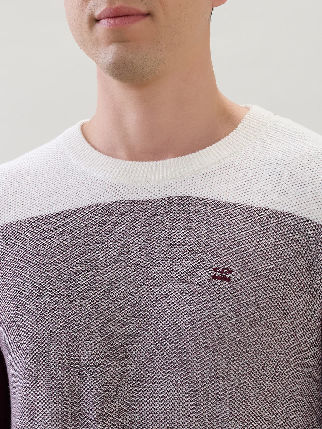 Colorplus Men Maroon Jacquard Regular Fit Cotton Sweatshirt - Image 6